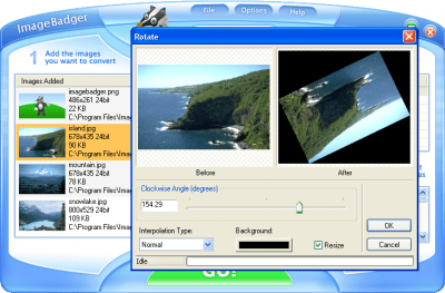Screenshot of the application ImageBadger - #4