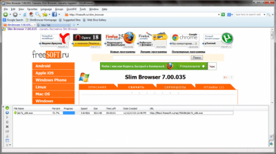 Screenshot of the application Slim Browser Portable - #3