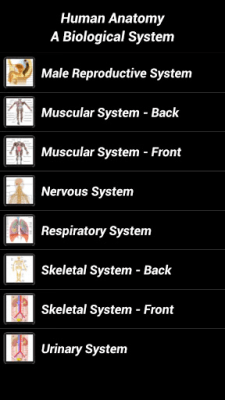Screenshot of the application Human Anatomy - #2