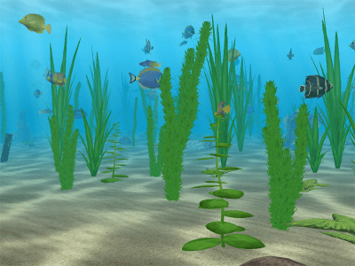 Screenshot of the application Water Life 3D - #1