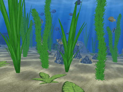Screenshot of the application Water Life 3D - #2