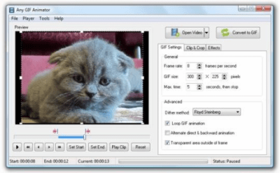 Screenshot of the application Any GIF Animator - #1