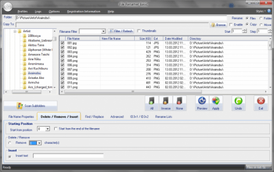 Screenshot of the application File Renamer Basic - #1