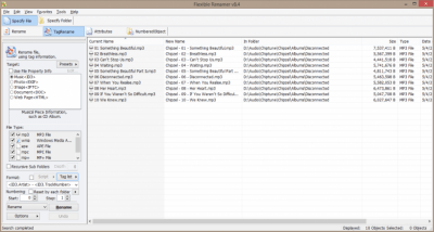 Screenshot of the application Flexible Renamer - #1