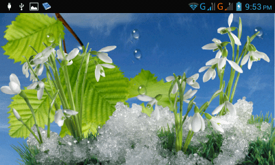 Screenshot of the application Spring - #3