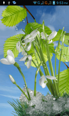 Screenshot of the application Spring - #7