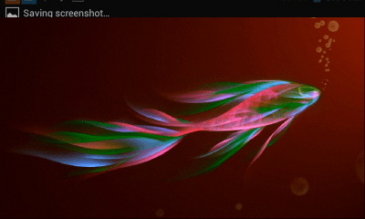 Screenshot of the application Golden fish - #4