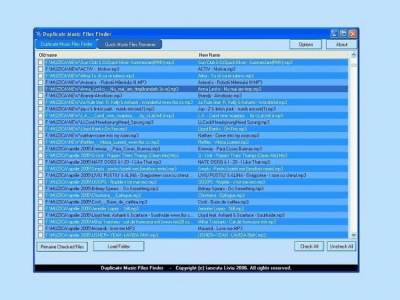 Screenshot of the application Duplicate Music Files Finder - #4