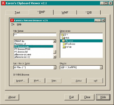 Screenshot of the application KarenWare Clipboard Viewer - #1