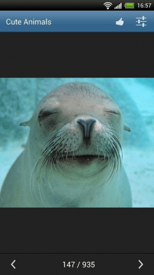 Screenshot of the application Cute animals - #3