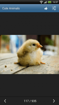 Screenshot of the application Cute animals - #5