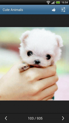 Screenshot of the application Cute animals - #6