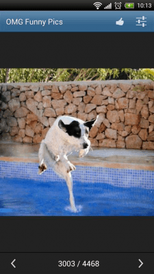 Screenshot of the application OMG Funny Pictures - #5