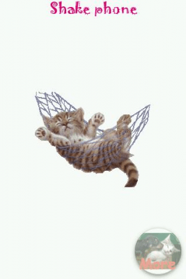 Screenshot of the application Sleeping Cat - #1