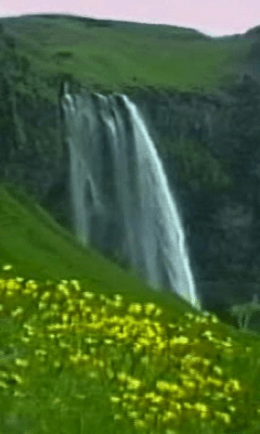 Screenshot of the application Flowers Waterfall - #2