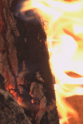 Screenshot of the application Fireplace Closeup - #1