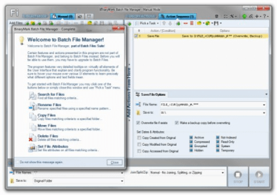 Screenshot of the application BinaryMark Batch File Manager - #1