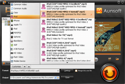 Screenshot of the application Aunsoft MKV Converter - #3