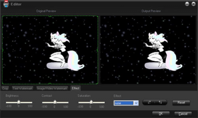 Screenshot of the application Aunsoft SWF Converter - #4