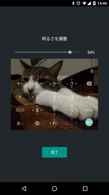 Screenshot of the application Google Japanese Input - #7