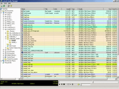 Screenshot of the application Toolsoft Audio Manager - #1