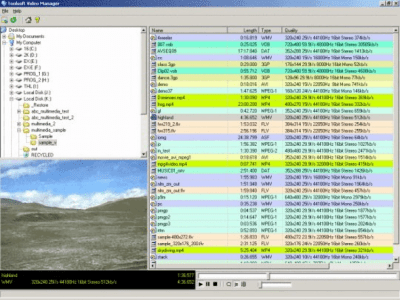 Screenshot of the application Toolsoft Video Manager - #1