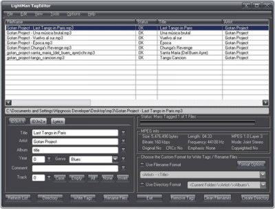 Screenshot of the application LightMan TagEditor - #1