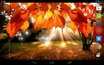 Screenshot of the application Autumn Light - #1