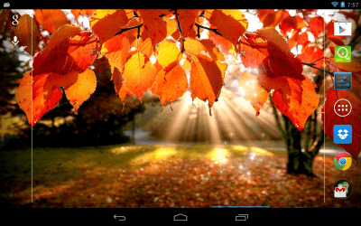 Screenshot of the application Autumn Light - #3