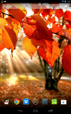 Screenshot of the application Autumn Light - #6