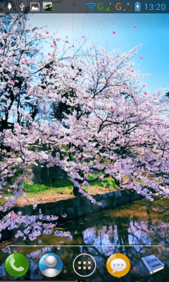 Screenshot of the application Sakura - #4