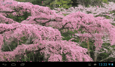 Screenshot of the application Sakura - #5