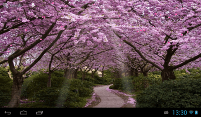 Screenshot of the application Sakura - #6