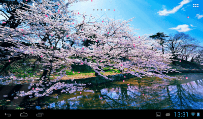 Screenshot of the application Sakura - #8