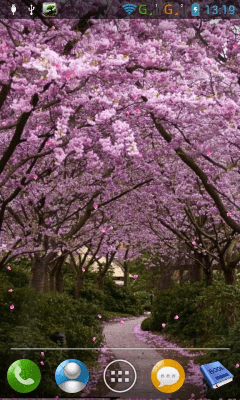 Screenshot of the application Sakura - #11