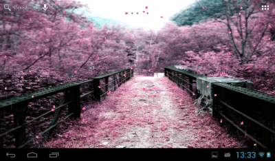 Screenshot of the application Sakura - #13