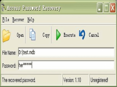 Screenshot of the application Access Password Recovery - #1