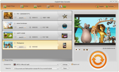 Screenshot of the application iOrgSoft Video Converter - #1