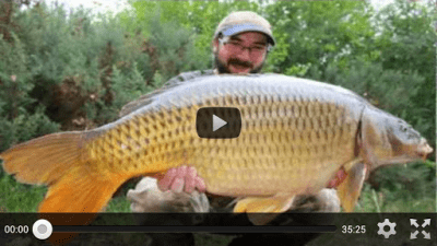 Screenshot of the application Carp Fishing - #3