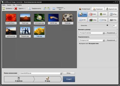 Screenshot of the application Soft4Boost Image Converter - #1