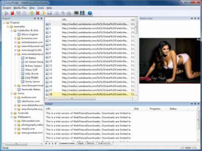 Screenshot of the application Pafsoft Picture Downloader - #1