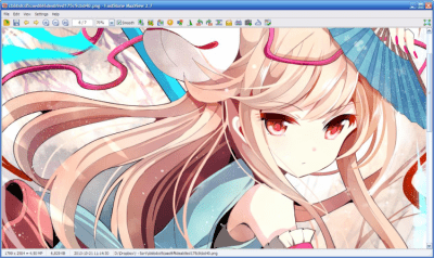 Screenshot of the application FastStone MaxView - #3
