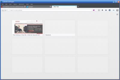 Screenshot of the application Comodo IceDragon - #1