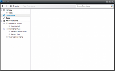 Screenshot of the application Comodo IceDragon - #2