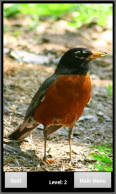 Screenshot of the application Bird Puzzle - #3