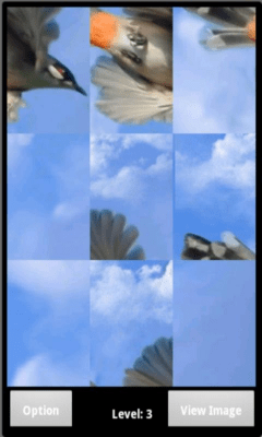 Screenshot of the application Bird Puzzle - #4