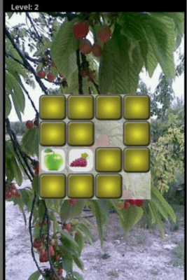 Screenshot of the application Fruit Lag - #5