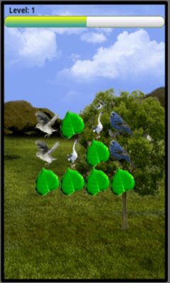 Screenshot of the application Birds Matcher - #2