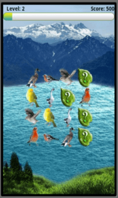 Screenshot of the application Birds Matcher - #4