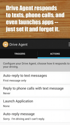 Screenshot of the application Drive Agent - #1